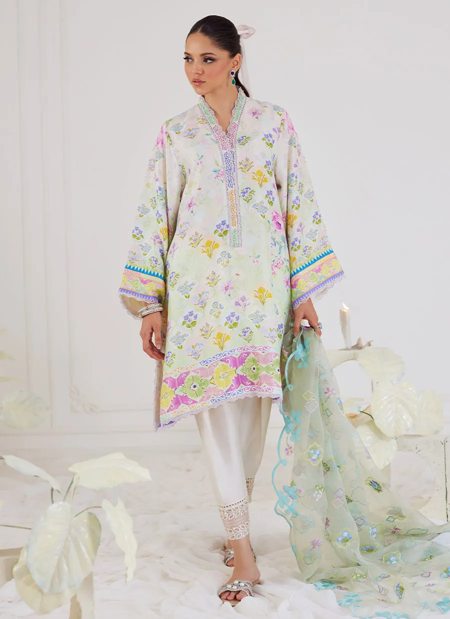 Belen Shirt And Dupatta