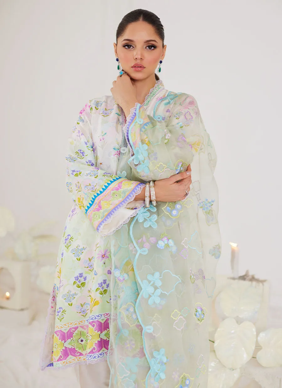 Belen Shirt And Dupatta