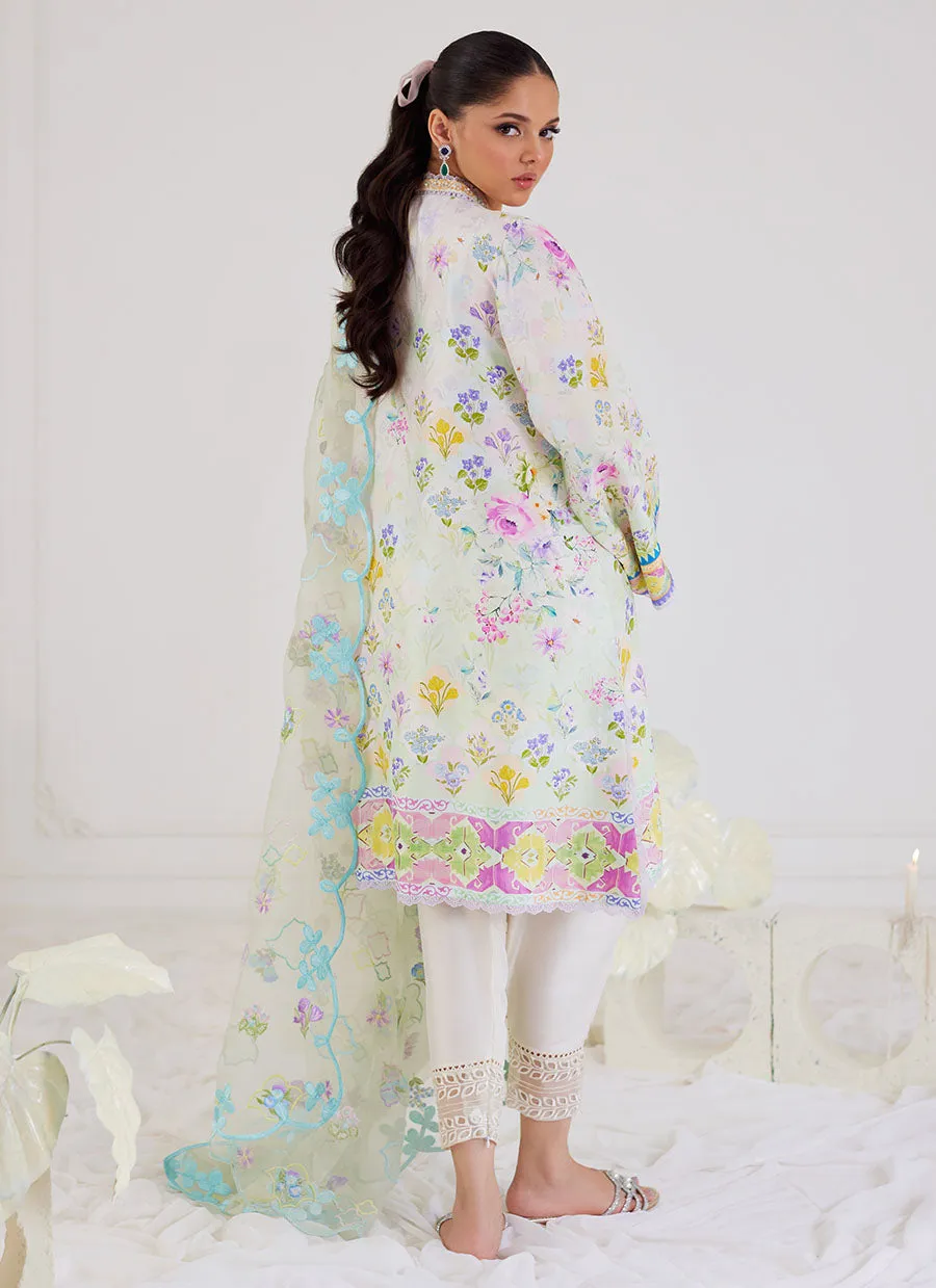 Belen Shirt And Dupatta