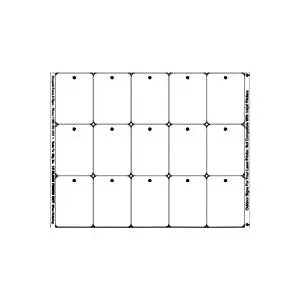 DOCUPRINT FORMS & SIGNS 15 OUTDOOR PUNCH Punched Indoor Tag, Weatherproof