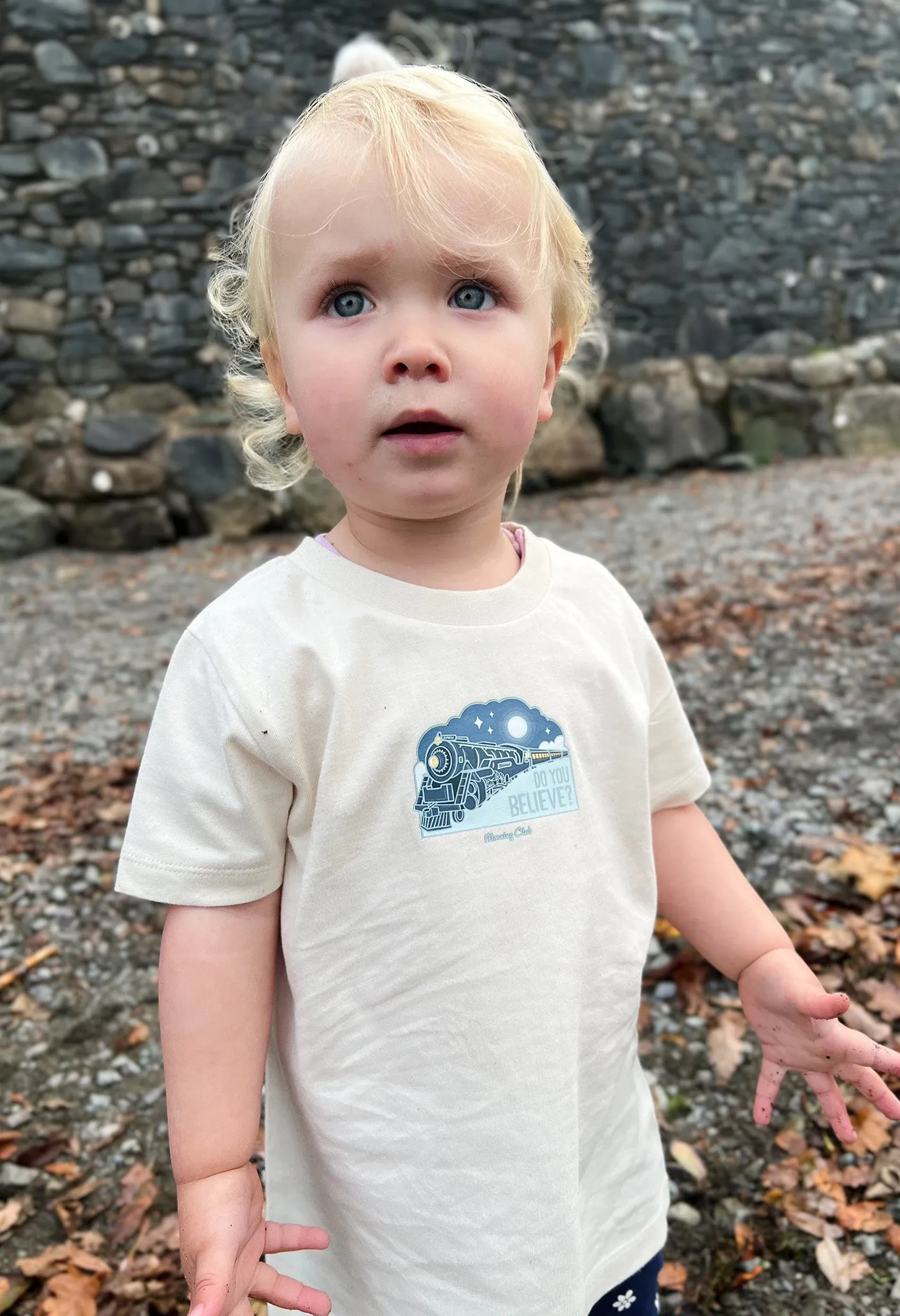 Polar Train Organic Cotton Childrens T-Shirt